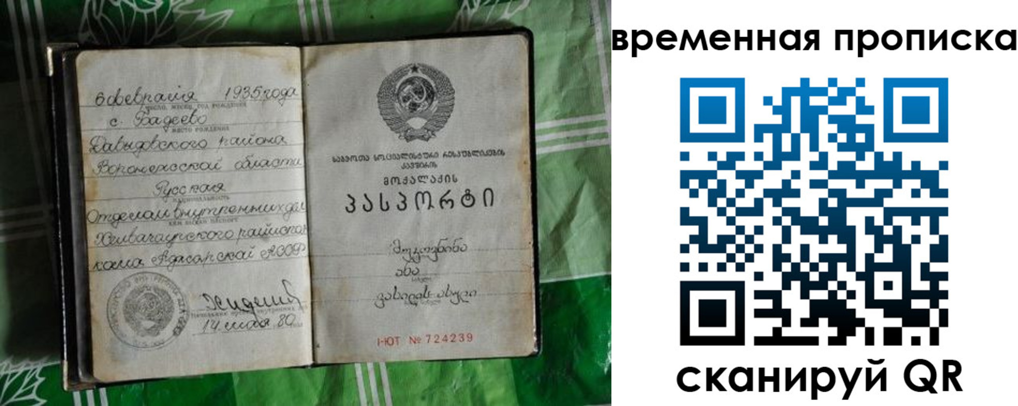 прописка в Данилове
